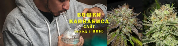 гашик Аркадак