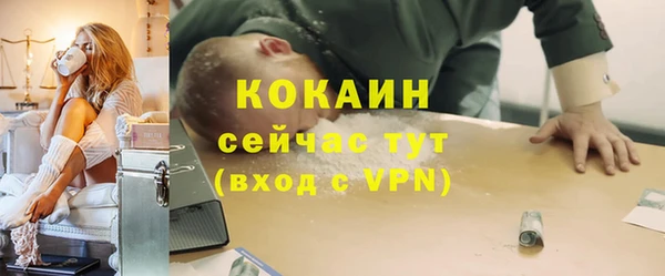 гашик Аркадак