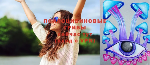 mix Бикин
