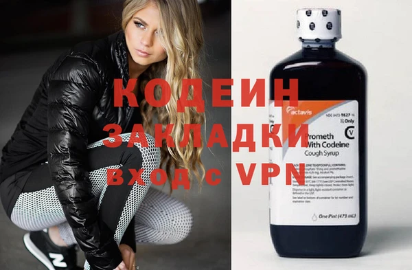 гашик Аркадак