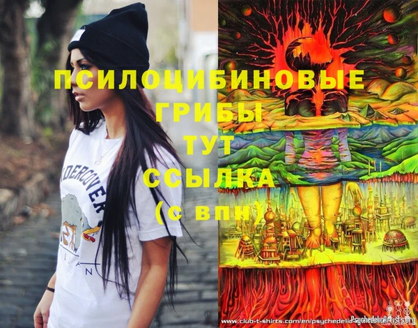 хмурый Армянск