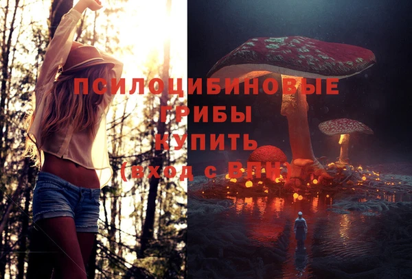 хмурый Балахна