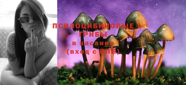 хмурый Балахна