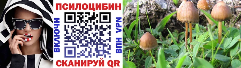 Псилоцибиновые грибы GOLDEN TEACHER  omg ссылки  Комсомольск  где найти наркотики 